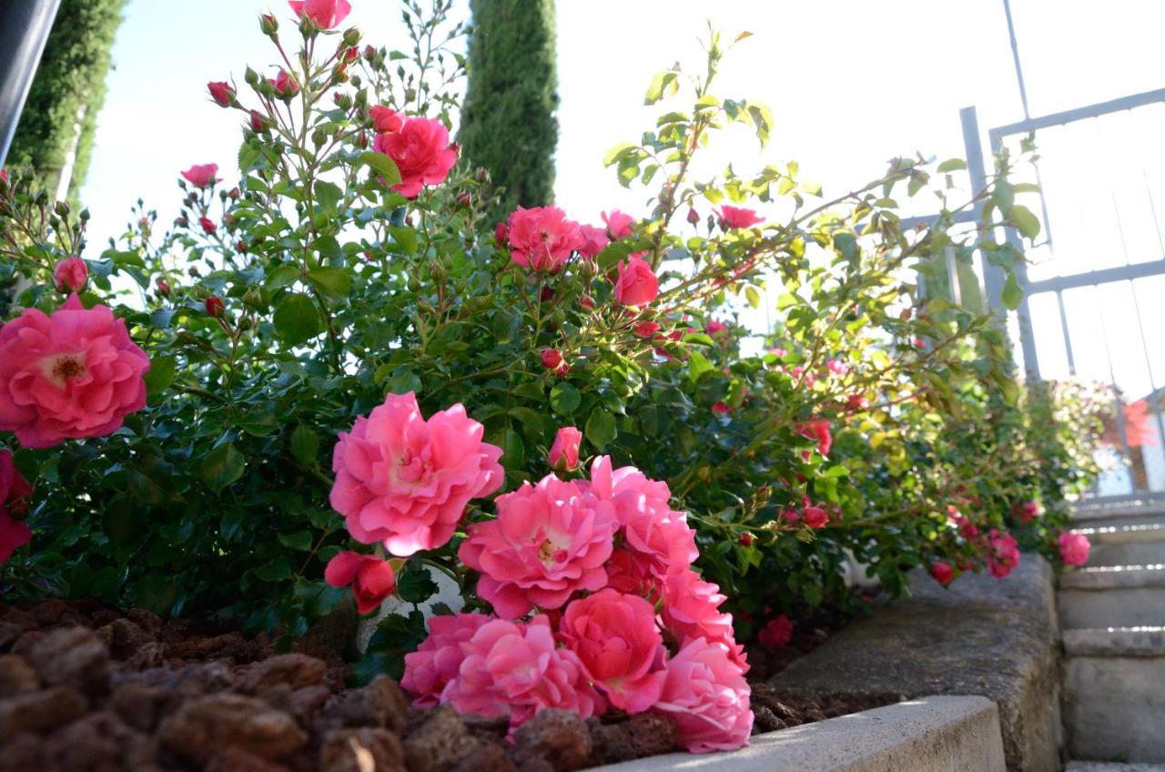 Al Trifoglio Bed & Breakfast Campodenno Dış mekan fotoğraf