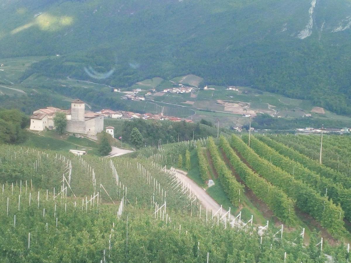 Al Trifoglio Bed & Breakfast Campodenno Dış mekan fotoğraf