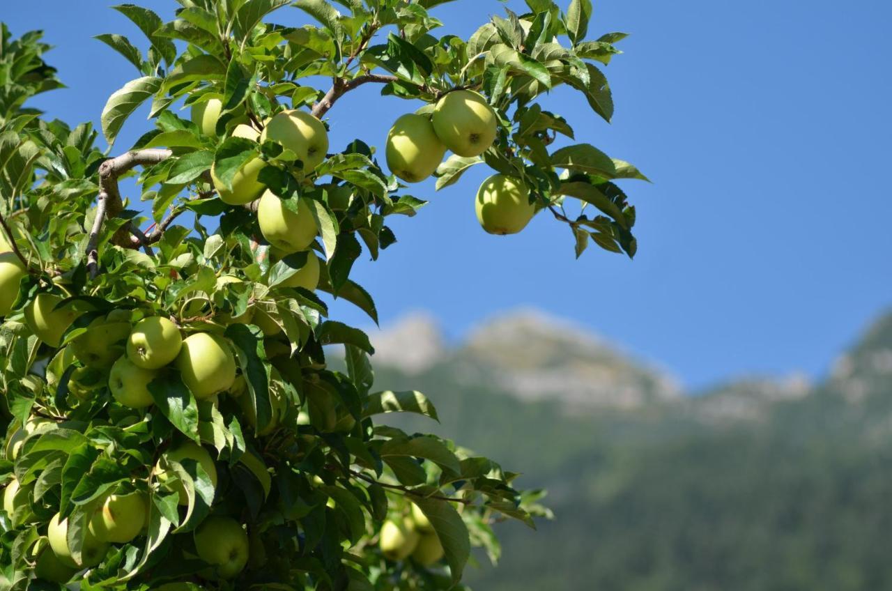 Al Trifoglio Bed & Breakfast Campodenno Dış mekan fotoğraf