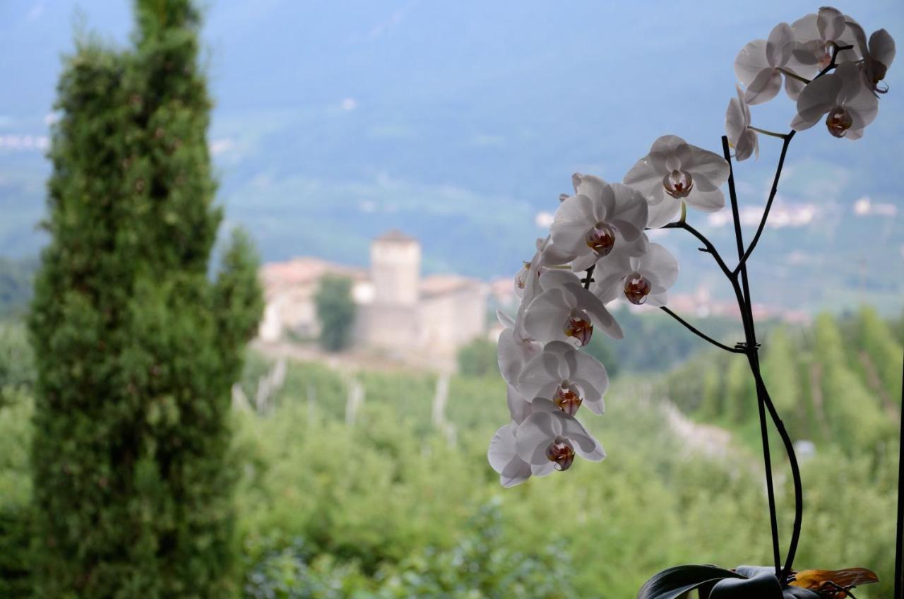 Al Trifoglio Bed & Breakfast Campodenno Dış mekan fotoğraf