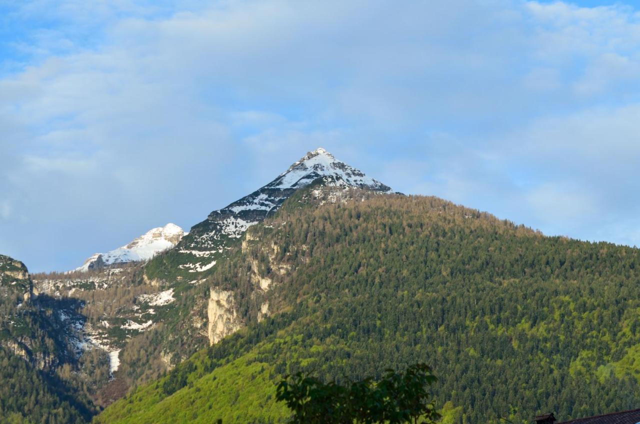 Al Trifoglio Bed & Breakfast Campodenno Dış mekan fotoğraf